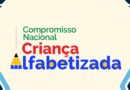 Questionário que busca levantar informações com professores do 1º e 2º anos do ensino fundamental das redes municipais