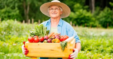 Nova resolução do FNDE fortalece participação das mulheres na alimentação escolar