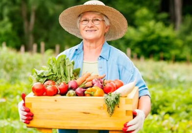 Nova resolução do FNDE fortalece participação das mulheres na alimentação escolar
