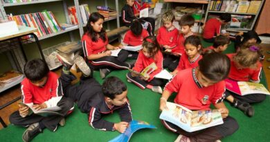 Guia Digital do PNLD Obras Literárias já está disponível para os anos iniciais do ensino fundamental