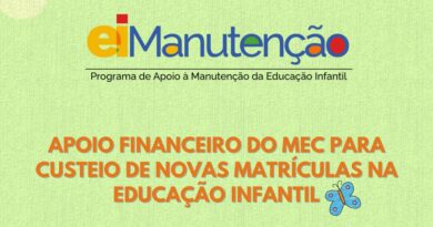 Sistema Nacional de Educação, pacto federativo e regime de colaboração