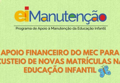 Sistema Nacional de Educação, pacto federativo e regime de colaboração